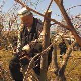 Субботник в Кунашаке